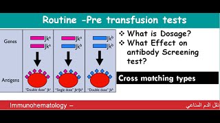 Lecture 1161 Routine Pre Transfusion Tests [upl. by Nat909]