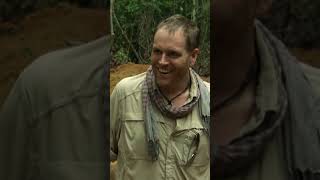 Josh Gates Attacked By A Scorpion While Searching The Ruins 🦂 shorts expeditionunknown [upl. by Jorey]