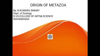 ORIGIN OF METAZOA [upl. by Aronaele]