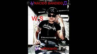 🎶 Nacido Bandido 🎵 🎤 esElricardo 🎙warumosrecords5702 Warumos records 🎛 [upl. by Anirtruc]