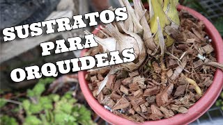 Sustratos Recomendados para Orquídeas [upl. by Arinayed868]