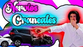 ASMR  NERVIOS CRANEALES🟪  Roleplay en Español [upl. by Ycats587]