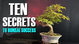 TEN SECRETS to Bonsai Success for Beginners [upl. by Wanyen]