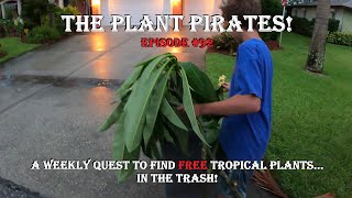 Finding FREE Tropical Plants in the Trash The Plant Pirates Episode 92 [upl. by Koslo719]