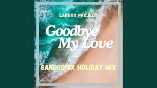 Goodbye My Love SandroniX Holiday Mix [upl. by Ibor]