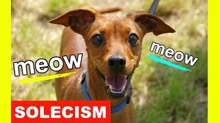 Learn English Vocabulary SOLECISM Meaning Educational Videos For College Students [upl. by Lamag]