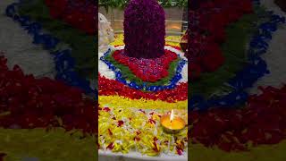 Sanson ki mala pe simroon mein shiv ka naam shivshankar mahadev mahakal mahadev har har mahadev [upl. by Nelad513]