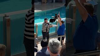 The lone wolf 🐺 So loud 😂👏 Tom mime Seaworld seaworldmime funny comedy prank [upl. by Mag]