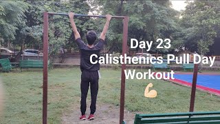 Day 23 Calisthenics Pull Day Workout 💪🏻21jogesh calisthenics [upl. by Sugihara642]