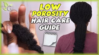 The BEST HAIR CARE TIPS for LOW POROSITY hair [upl. by Torrlow364]