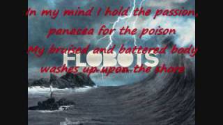 Panacea for the Poison  Flobots with lyrics [upl. by Mrots]