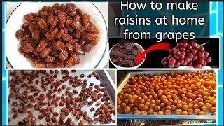 How to make raisins at home Homemade dry raisins recipe by palwashas cooking [upl. by Bergin]