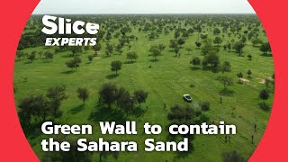 Ingenious the Great Green Wall to contain the Sahara Sand  SLICE EXPERTS [upl. by Noble873]