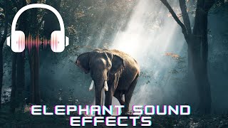 Elephant sound effect  Elephant sounds [upl. by Mungo]