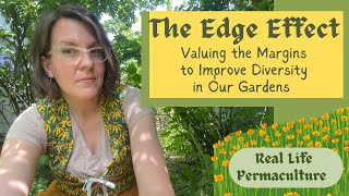 The Edge Effect How to Value the Margins and Enhance Garden Biodiversity [upl. by Anohsal]