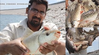 Rohu Fish Catching  Hook Fishing  Fishing Techniques  Village Fishing Videos Indian fishing [upl. by Solohcin]