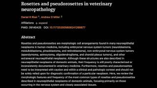 29 Rosettes and pseudorosettes in veterinary neuropathology [upl. by Anirtac]