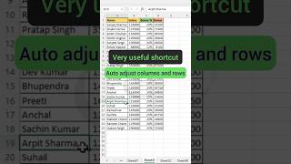 Shortcuts to adjust columns and rows in excel shorts youtubeshorts viral [upl. by Ricketts]