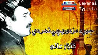 Mazdoor  Gulzar Alam New Song [upl. by Erialcyram]