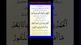 Sone ki Dua 🥰 dua sonekidua isalmicvideo ytshorts naatpak allahhukbar islam [upl. by Gerg]