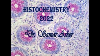 Introduction to histochemistry [upl. by Eenattirb555]