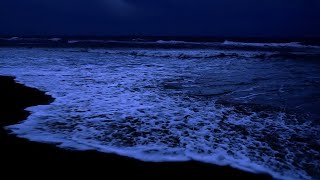 The Most Relaxing Waves Ever  Ocean Sounds to Sleep Study and Chill [upl. by Bible497]