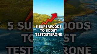 Superfoods to boost your testosterone through the roof natural T boosters testosterone superfood [upl. by Nitsirk]