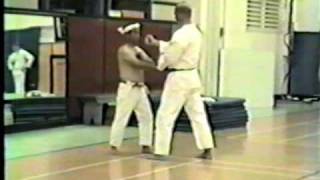 Sanchin kata  2 of 4 Bunkai Angi Uezu Isshinryu [upl. by Hnaht]