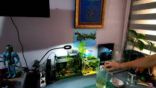 Nano Planted Aquarium Water Refresher [upl. by Elleined902]