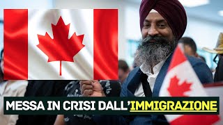 Il Canada non vuole più immigrati  Giravolta a quotUquot del governo [upl. by Duahsar290]