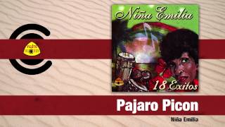 La Niña Emilia  Pajaro Picon Audio  Felito Records [upl. by Ranilopa]