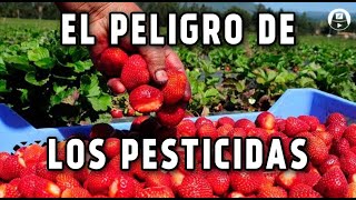 ¿Los pesticidas nos van a enfermar [upl. by Rednas]