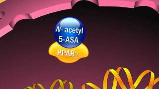 Mechanism of Action of Aminosalicylates [upl. by Bambie565]