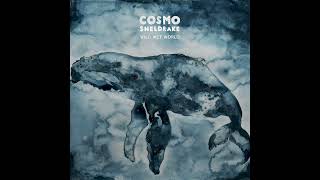 Cosmo Sheldrake  Bodies Of Water [upl. by Christian816]