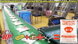 Ternyata Ini Bahan Dasar MICIN  Proses Produksi Pembuatan Micin MSG Monosodium Glutamat [upl. by Gianina]