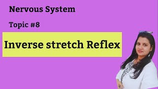 Inverse stretch reflex [upl. by Oal]