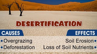 What Is Desert And Desertification Causes And Effects   Lecture No  2 [upl. by Alexa43]