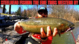 Western New York Erie Tribs Steelhead Fishing [upl. by Yalc]