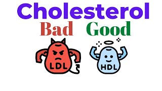 Good cholesterol and bad cholesterol  HDL and LDL in Hindi [upl. by James]