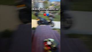 Kavaklı Beylikdüzün de motorla gezerken buldum motovlog kayıp kedi viral beylikdüzü kavaklı [upl. by Lichtenfeld]