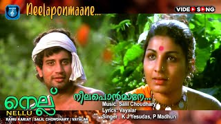 Neela ponmane  Malayalam song  Nellu  Vayalar  Salil Chaudhari  Ramu karyattu [upl. by Aerdnaid699]