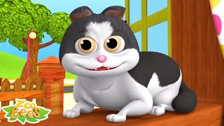 Meow Meow Billi Karti म्याऊं म्याऊं बिल्ली करती Nursery Videos and Kids Rhymes [upl. by Rebmak]