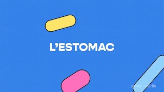 Lestomac [upl. by Kalil]