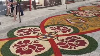 9 Edizione INFIORATA  Patù  PUGLIA 2024 [upl. by Sedinoel910]