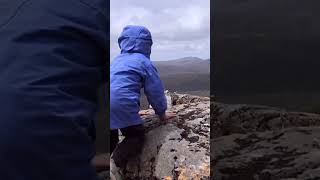 Hiking to Rodway Shelter Hut at Mt Field National Park hiking adventures lioncub [upl. by Oiligriv]