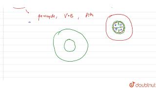 List of some of the structural part is given below Pericycle pith vascular bundles a [upl. by Manus]