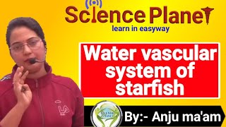 Water Vascular System of Starfish By Anju maam scienceplanetbiology [upl. by Graig785]