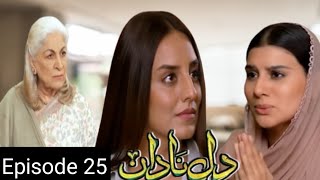 Dilenadan Episode 25 full Review  Tania ko sazish hogae Nakam  Har pal geo [upl. by Kimberlee]