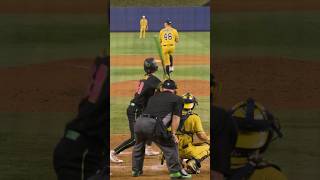 Switch Pitcher vs Switch Batter 😵‍💫 tricks circus sports baseball patvendette wow pitching [upl. by Eeniffar840]