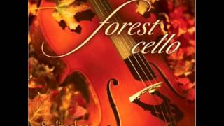 Dan Gibson  Solitudes  Forest Cello  09 Majesty Of The Lake [upl. by Anidam]